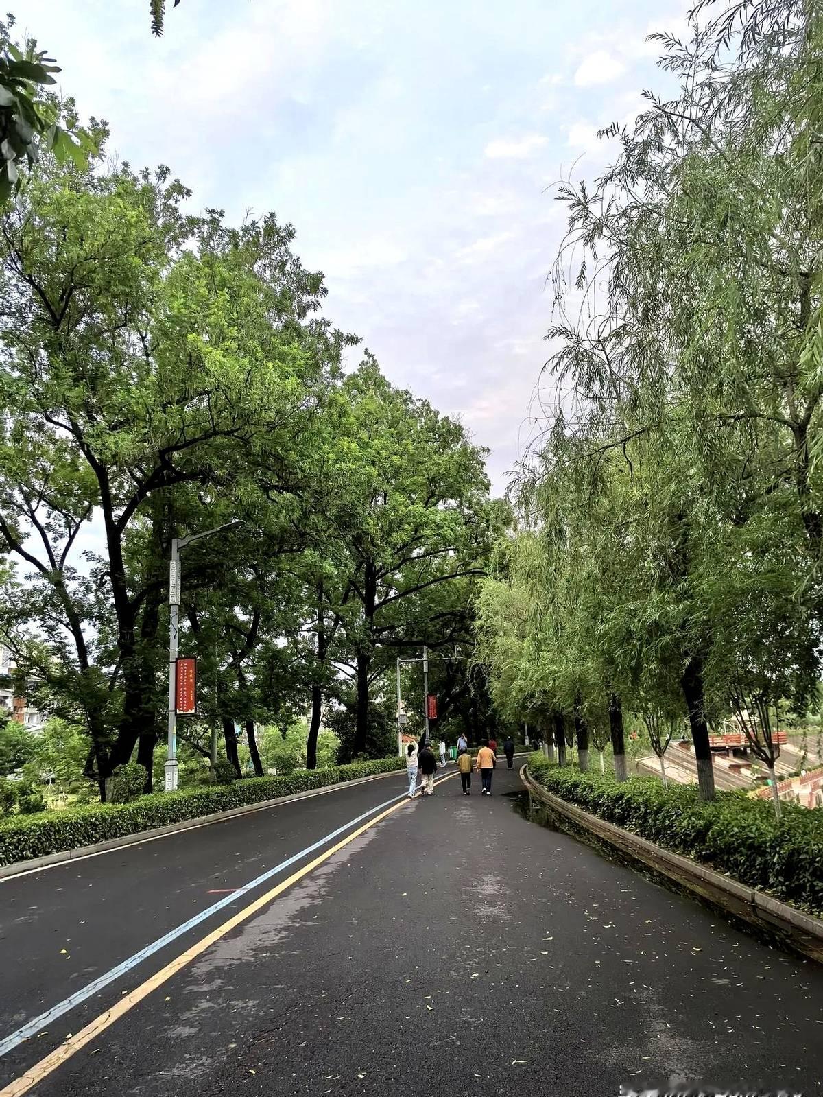 女儿考上了博士研究生，我都快崩溃了，已经在精神恍惚中度过了三天。这几天翻来覆