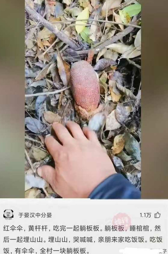 这玩意吃了会怎样？