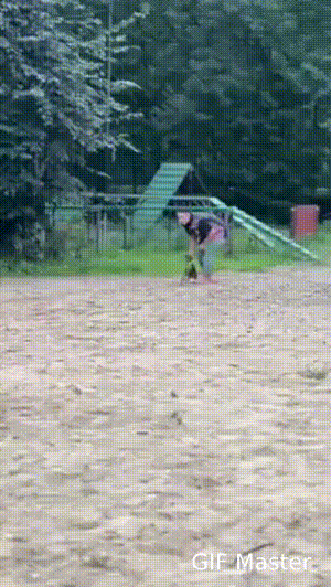 好威猛的警犬！