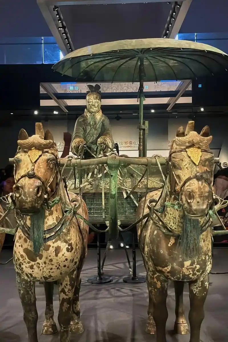 不得不说，陕西省的文旅真是够给力！不光我老公能免票，连我和两个娃也跟着一起免了。