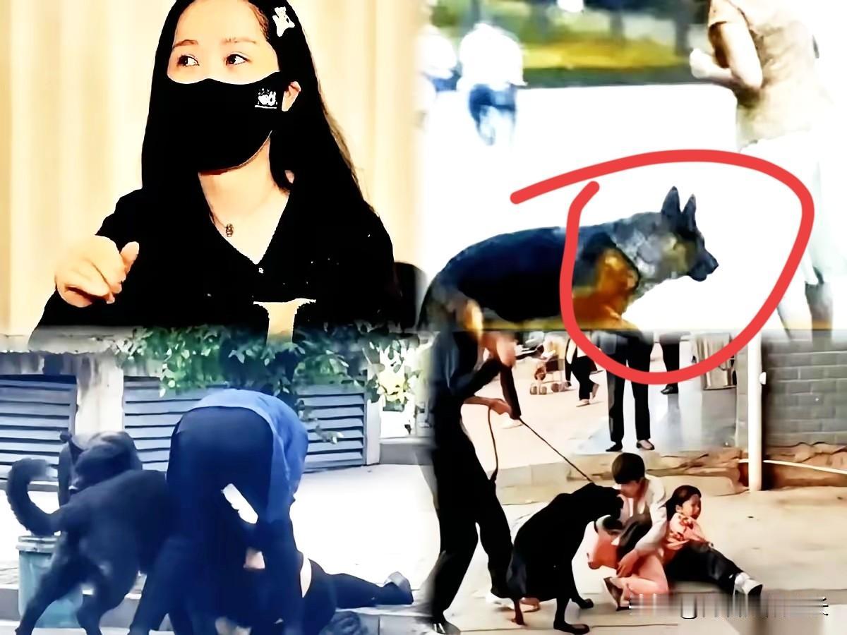 这年头，人活得还不如一条狗金贵，说出来真挺讽刺的。前天小区里有个小孩被狗吓哭