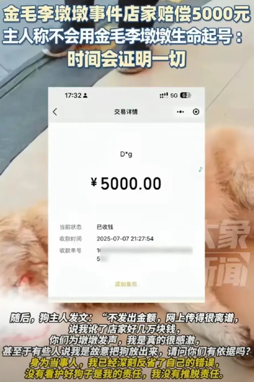 金毛李墩墩狗主人敲诈成功！明明是自己的主要责任，还连累别人店一直没发开业，寻衅滋