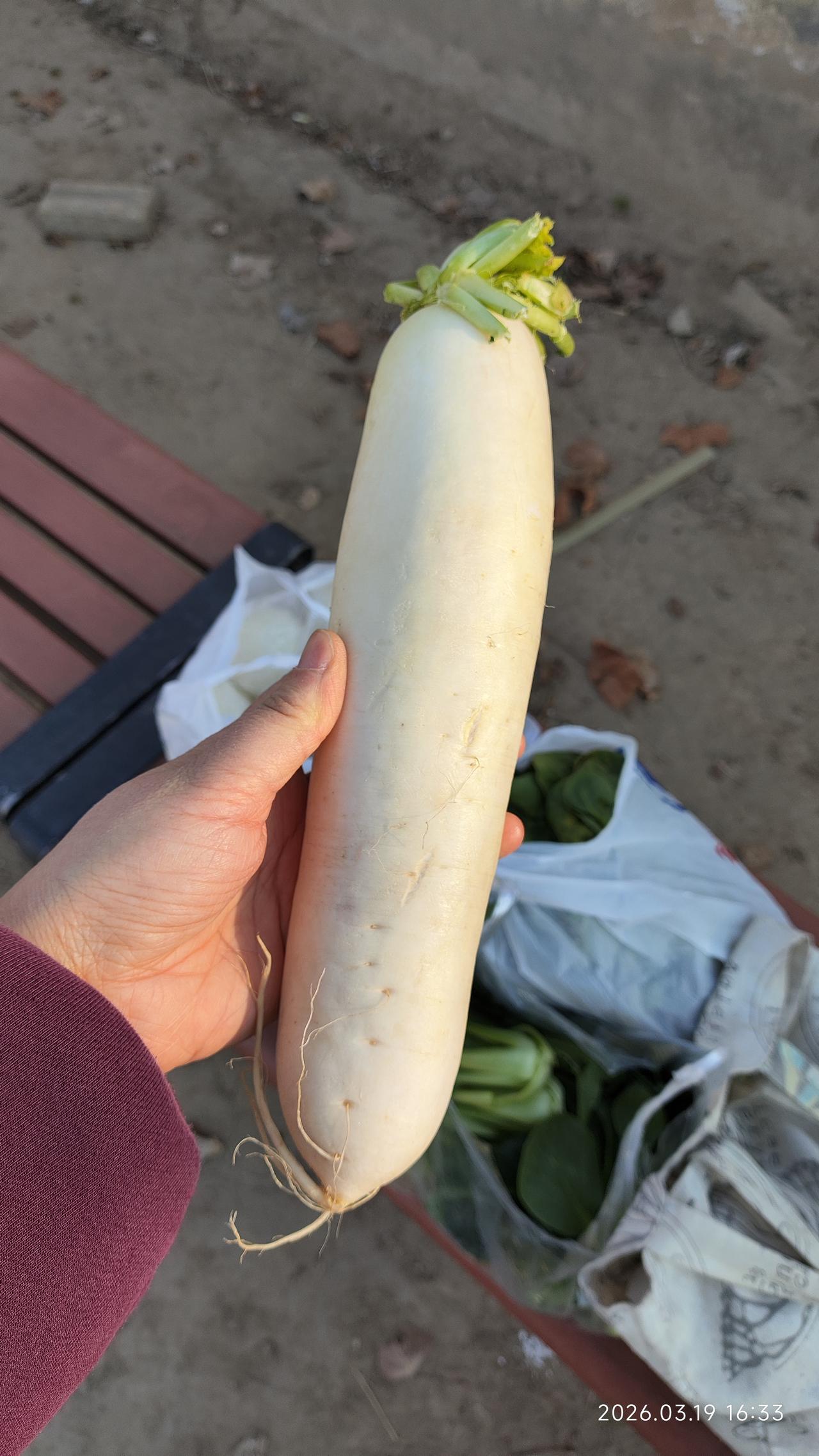 妈妈，如果的话，我能请假吗？女儿上初中住宿。这周去学校的时候，她跟我说，