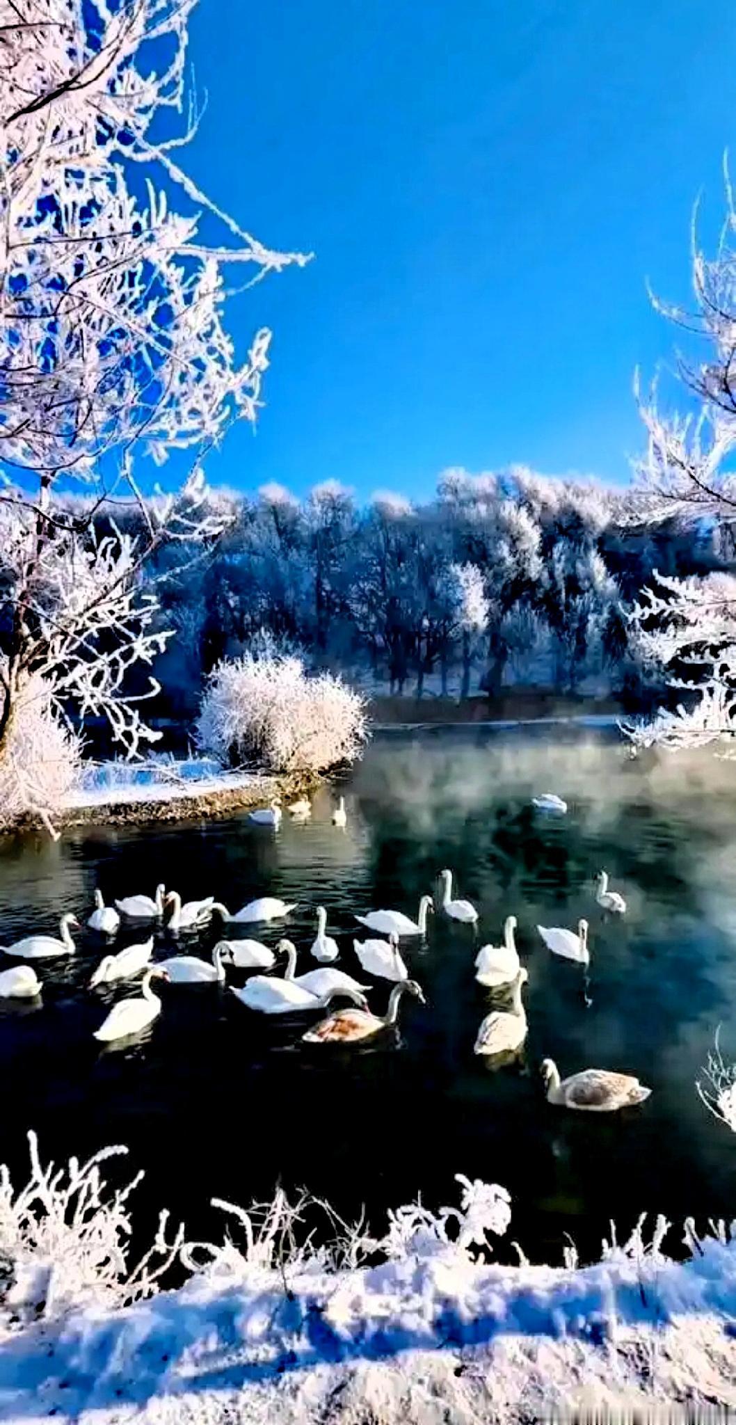 很多人习惯性认为，“三九”是每年冬天最寒冷的时候。但实际上很多最低气温，却是
