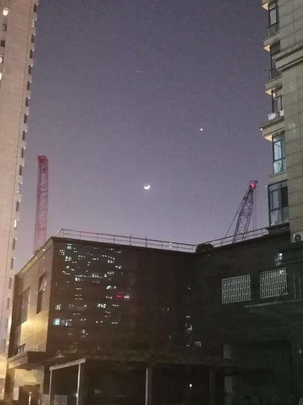 2026年1月24日天秤座运势大揭秘！“星辰指引方向，运势随风而动”，24日海