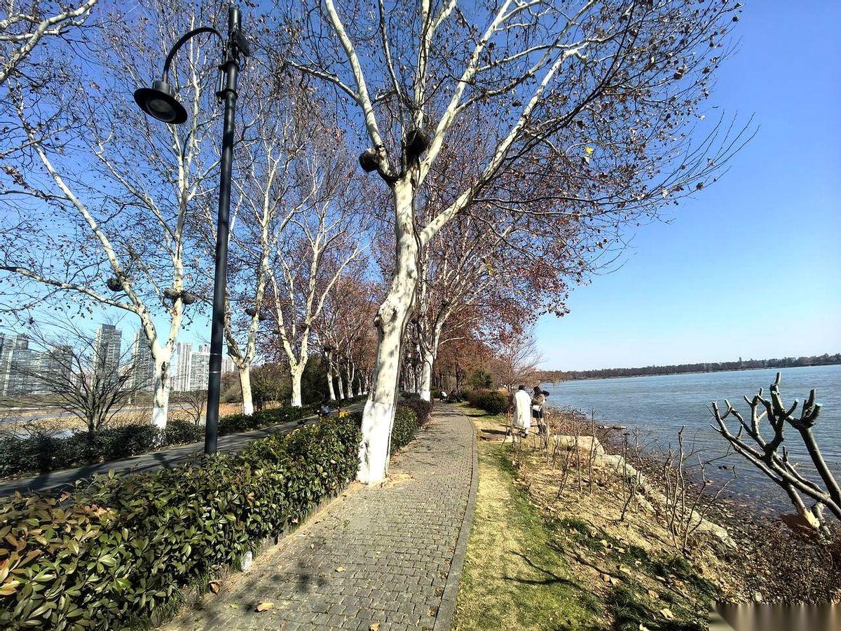 你体验过那种，全世界都静音了，唯独你自己的脑子里，养了一窝蝉吗？嗡嗡嗡的。好