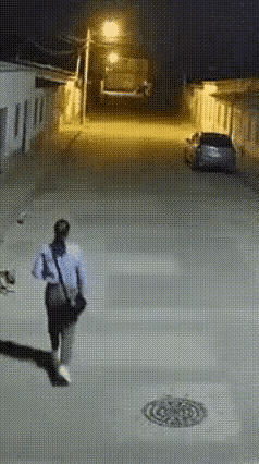 狗狗能看到人看不到的东西？