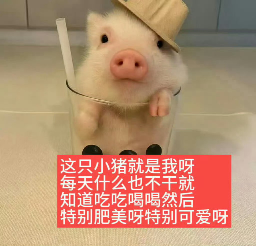 恋猪癖启动！小香猪表情包