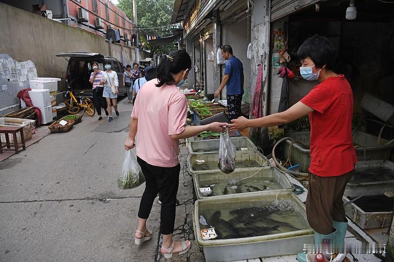 重庆菜市场，才是最真实的人间烟火比起逛商场，我更爱逛菜市场。清晨的菜市场最
