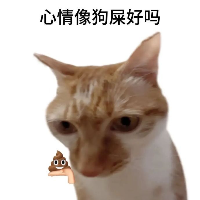 让人无法拒绝的可爱搞怪表情包