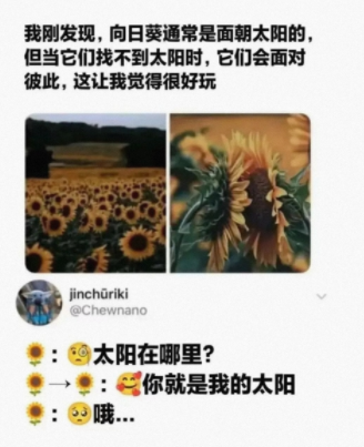 你就是我的太阳