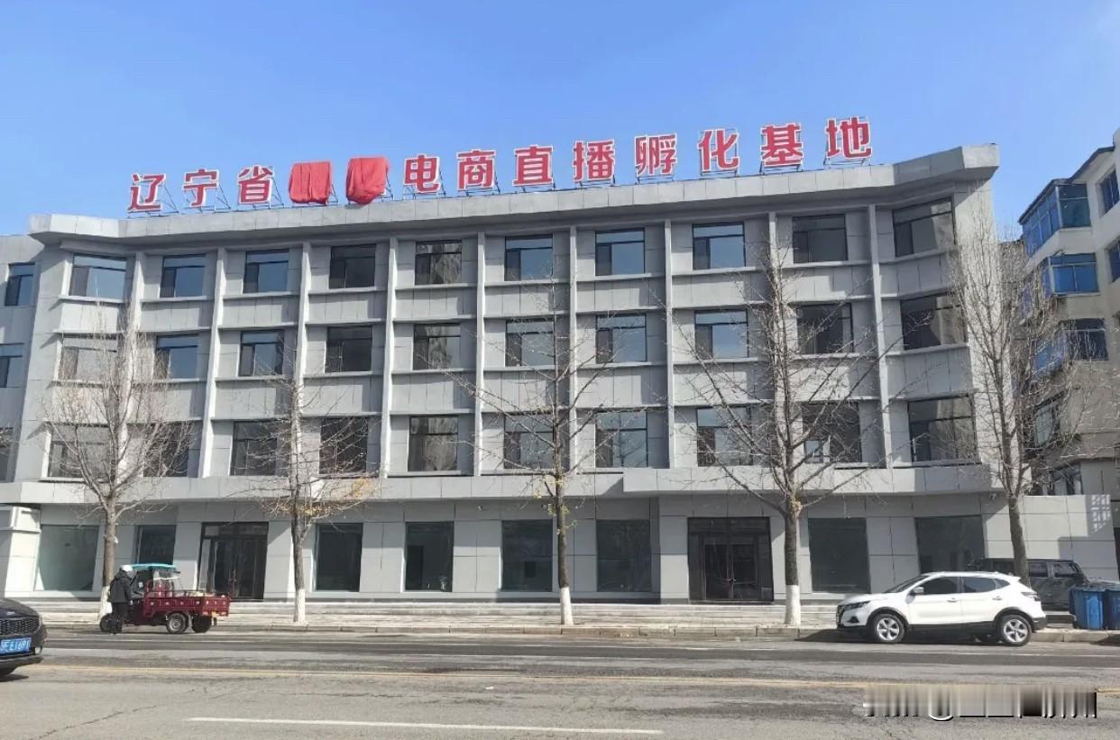 “东北雨姐”出售电商大楼，我愿称她为“商业鬼才”，给大家算一笔账就明白了，