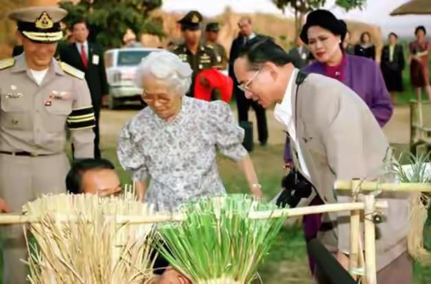老国王和母亲手牵手，母慈子孝画面很美好。跟在他们后面的诗丽吉王后也有个孝子，那就