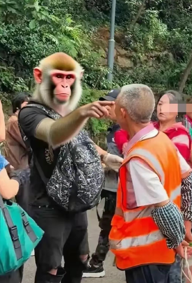 这张图现在很火是吗？那猴子有没人找出来是谁？