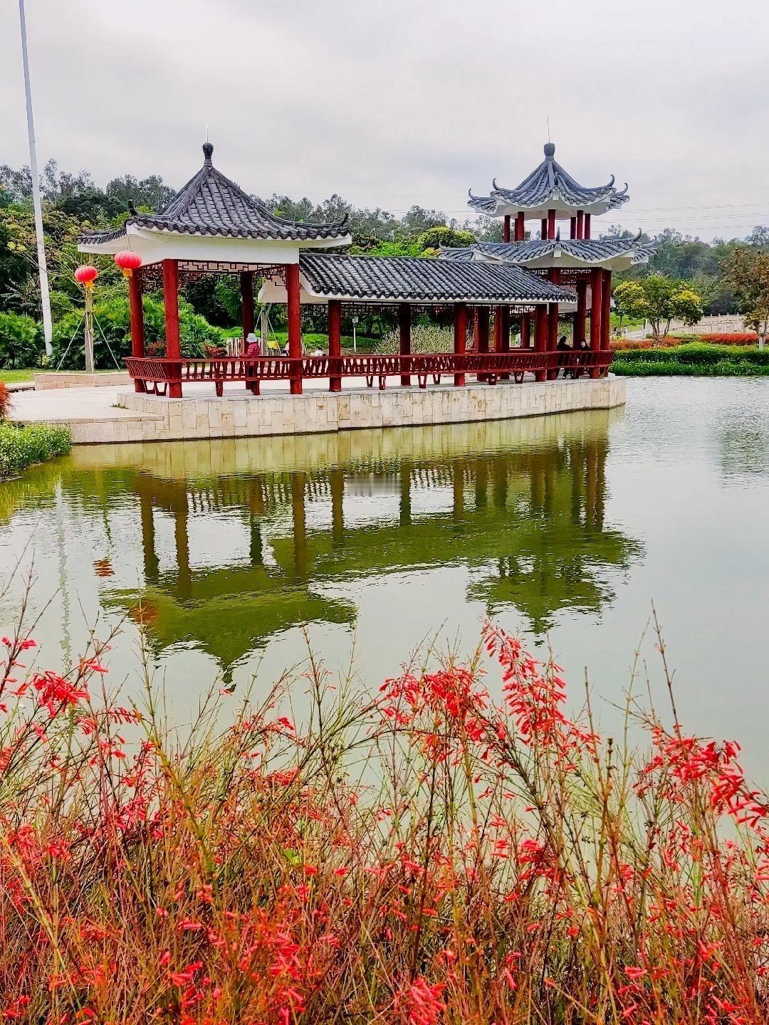 老年养生别瞎忙！5个“金点子”，轻松活过九十九人到老年，养生不是比谁吃得贵、