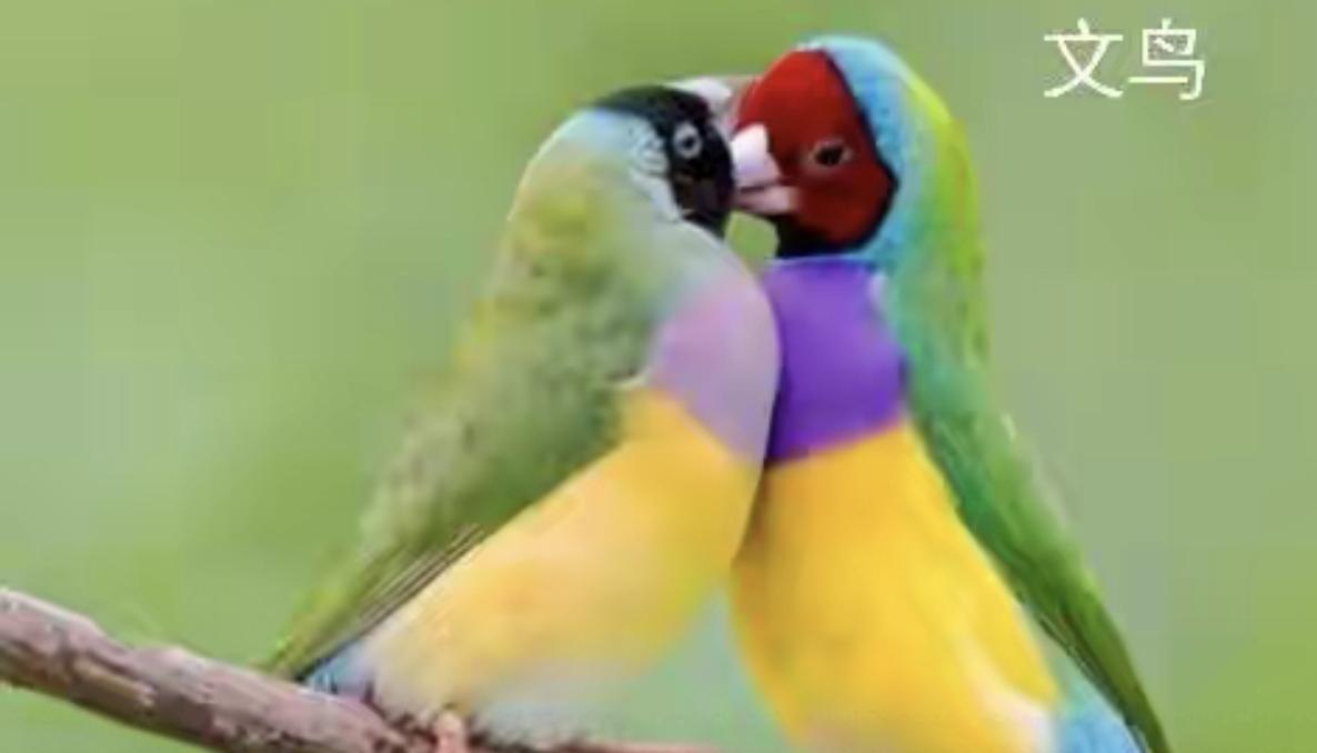 家人们姐姐们早晨好，六点多了，聊聊身边故事吧？有个媳妇心寒了，家人们。原来有些骄