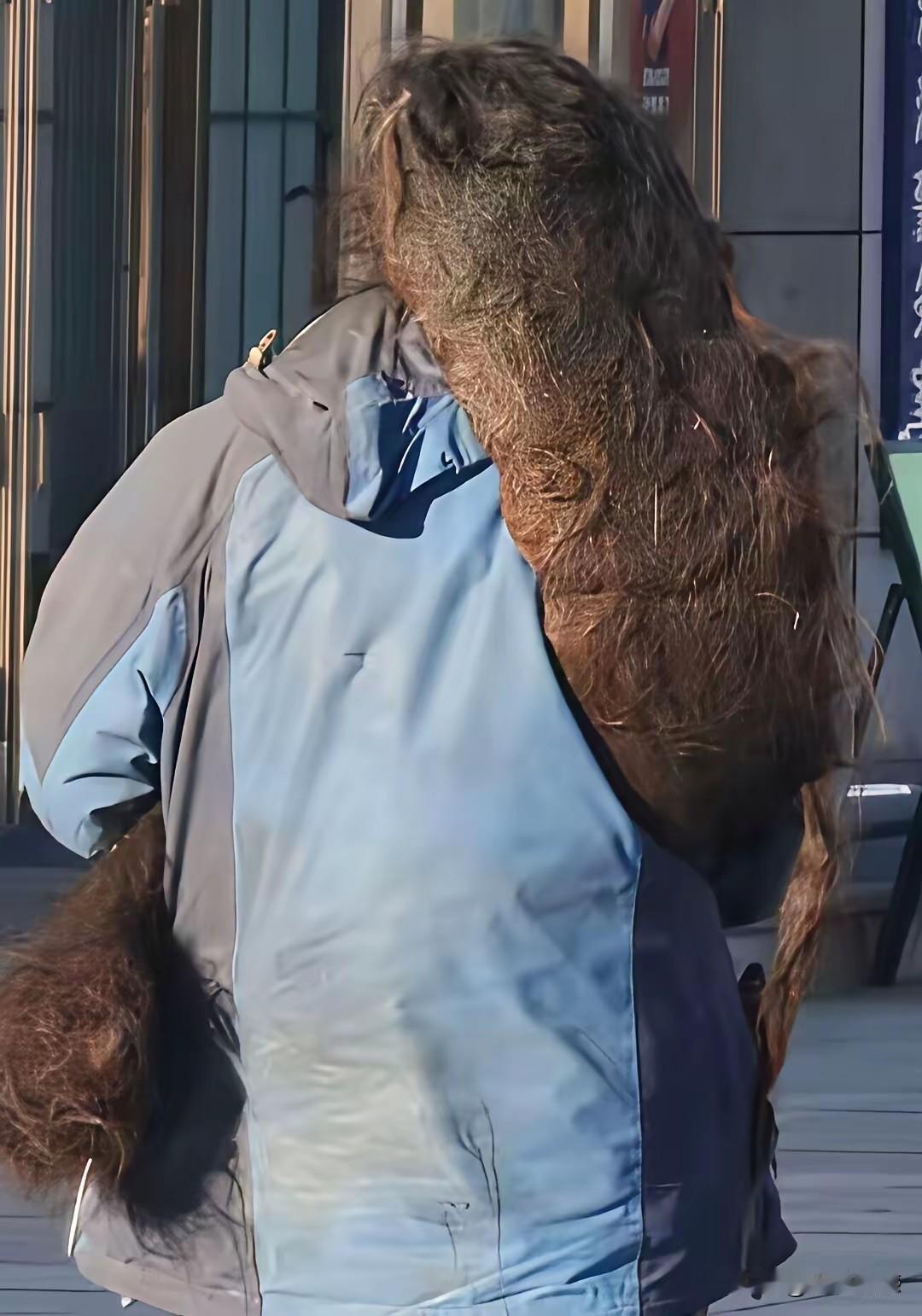 据说这是一个流浪，女头发虽然很长，也很浓密，但是感觉已经好久好久没有洗了，头发都