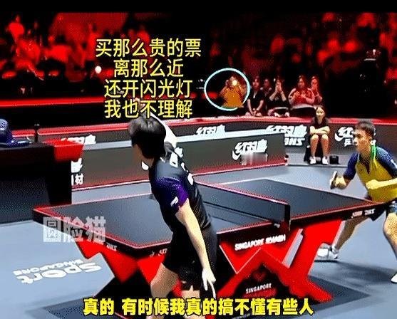 花几千块买前排票，就为在关键分上，用闪光灯把王楚钦晃丢分？9-6领先，一个