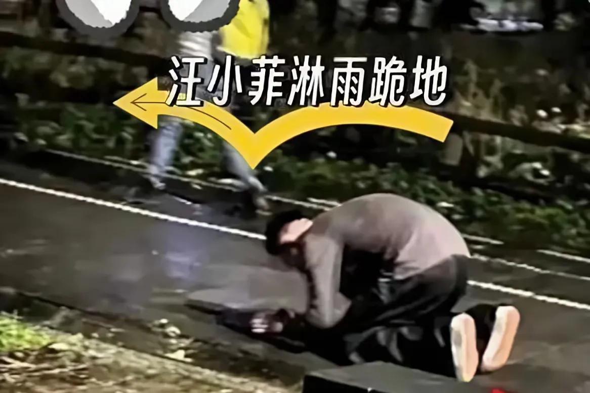 同样是跪拜亡妻，为了汪小菲被诟病为演戏，而具俊晔被夸赞为深情。原因有三个:韩
