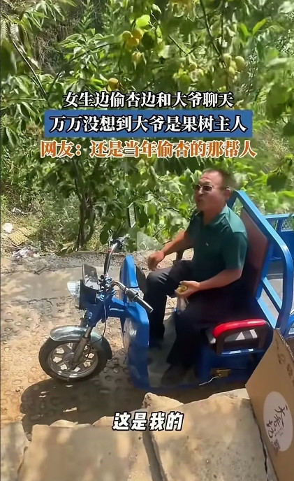 偷得也太自豪了吧？河北某果园，几位女子拎着箱子大摇大摆走进来，边摘杏边笑，果农大