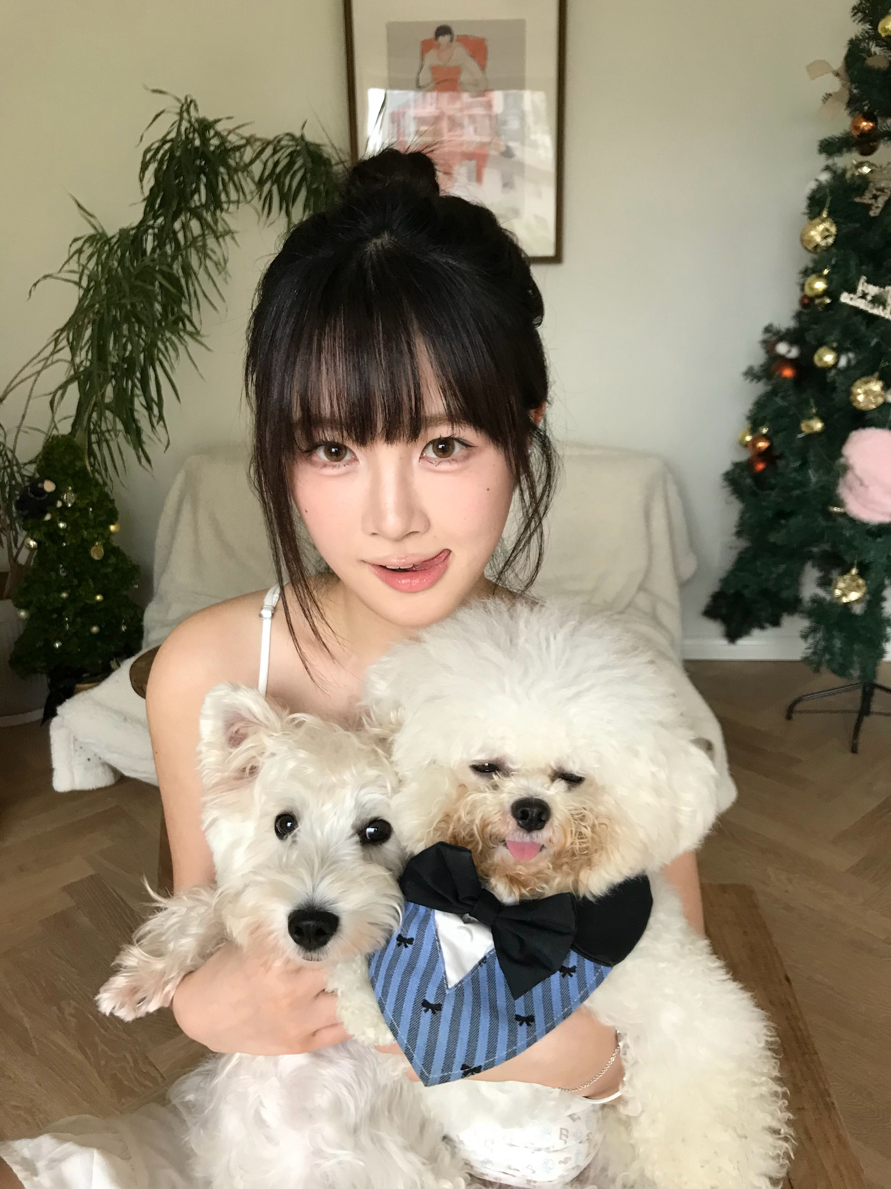 小狗藏不住爱意（小猫也是​​​