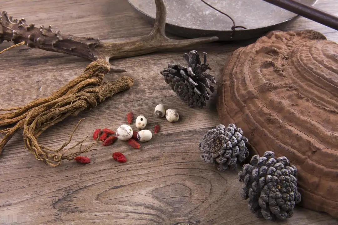 学会四逆汤的72变！阳虚、痰湿、水肿、尿频、鼻炎，统统拿下大家好，我是陈大夫。