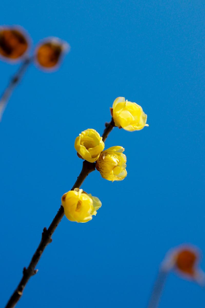 周一盘前利好消息，深度剖析人形机器人板块！周一盘前利好消息：一、据媒体报道，