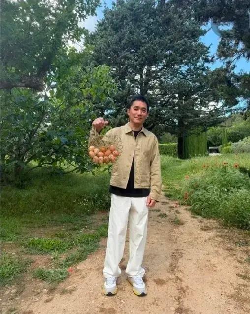 张曼玉种芋头，梁朝伟养鸡，就想知道刘德华退休后该干嘛？梁朝伟和刘嘉玲在法国庄园