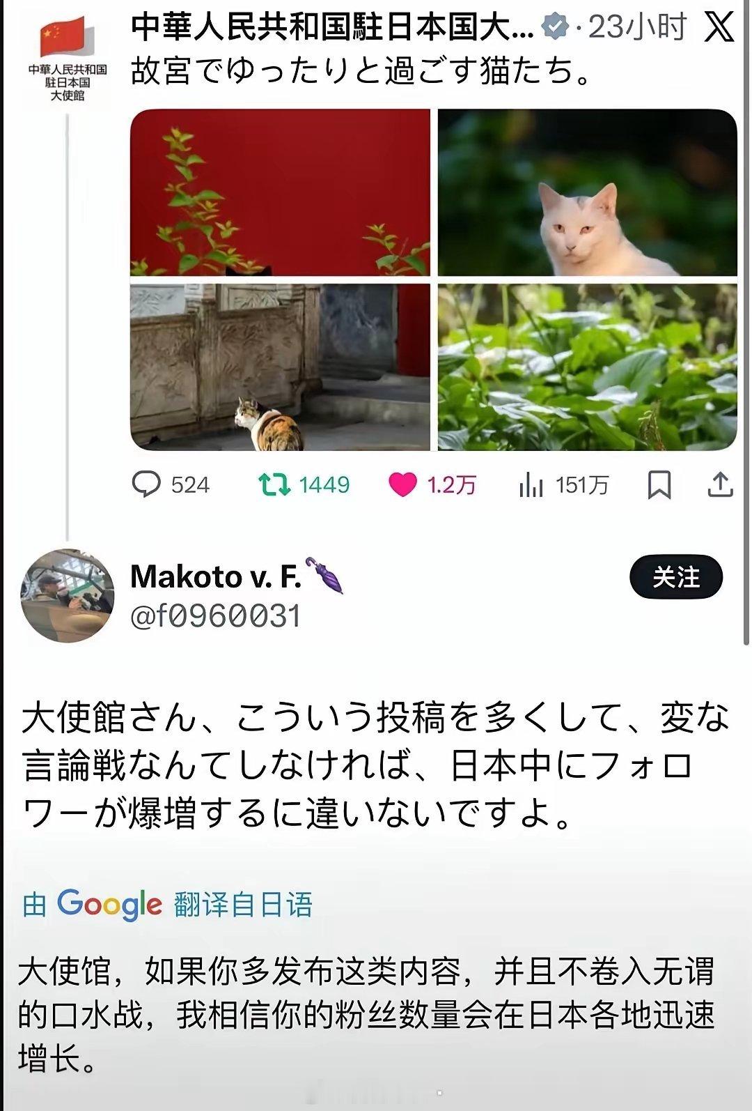 画风变了？中国驻日本大使馆发文写道：宫殿里悠闲度过的猫咪们。日本网友留言：大使馆