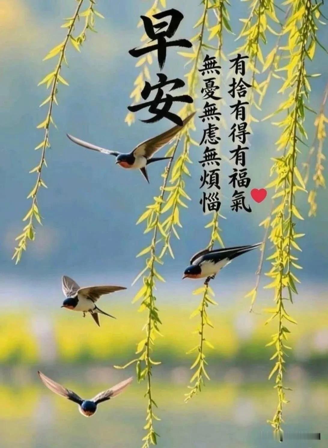 清晨的风捎来暖意，早安，愿你被温柔相伴。