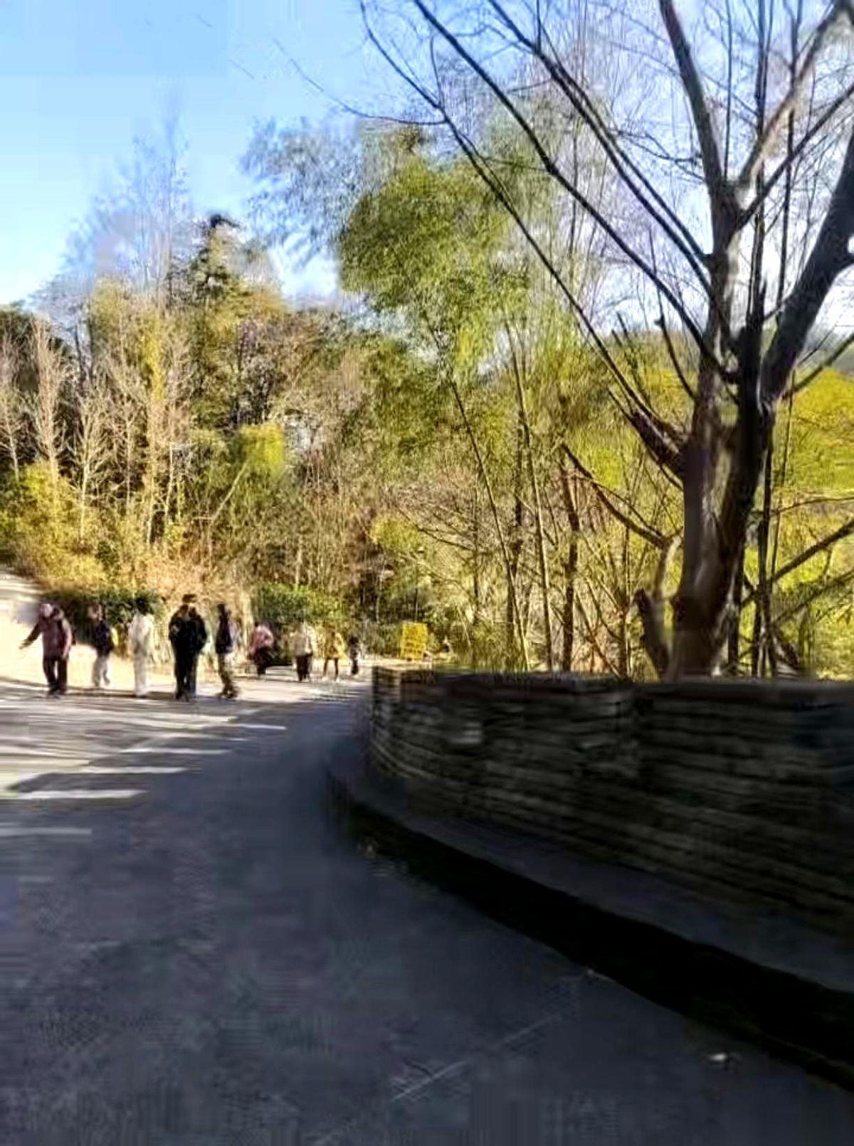 大年初一，我在那个死了快十年的同学群里，发了句：“都回来了吧，聚聚？”然后？然