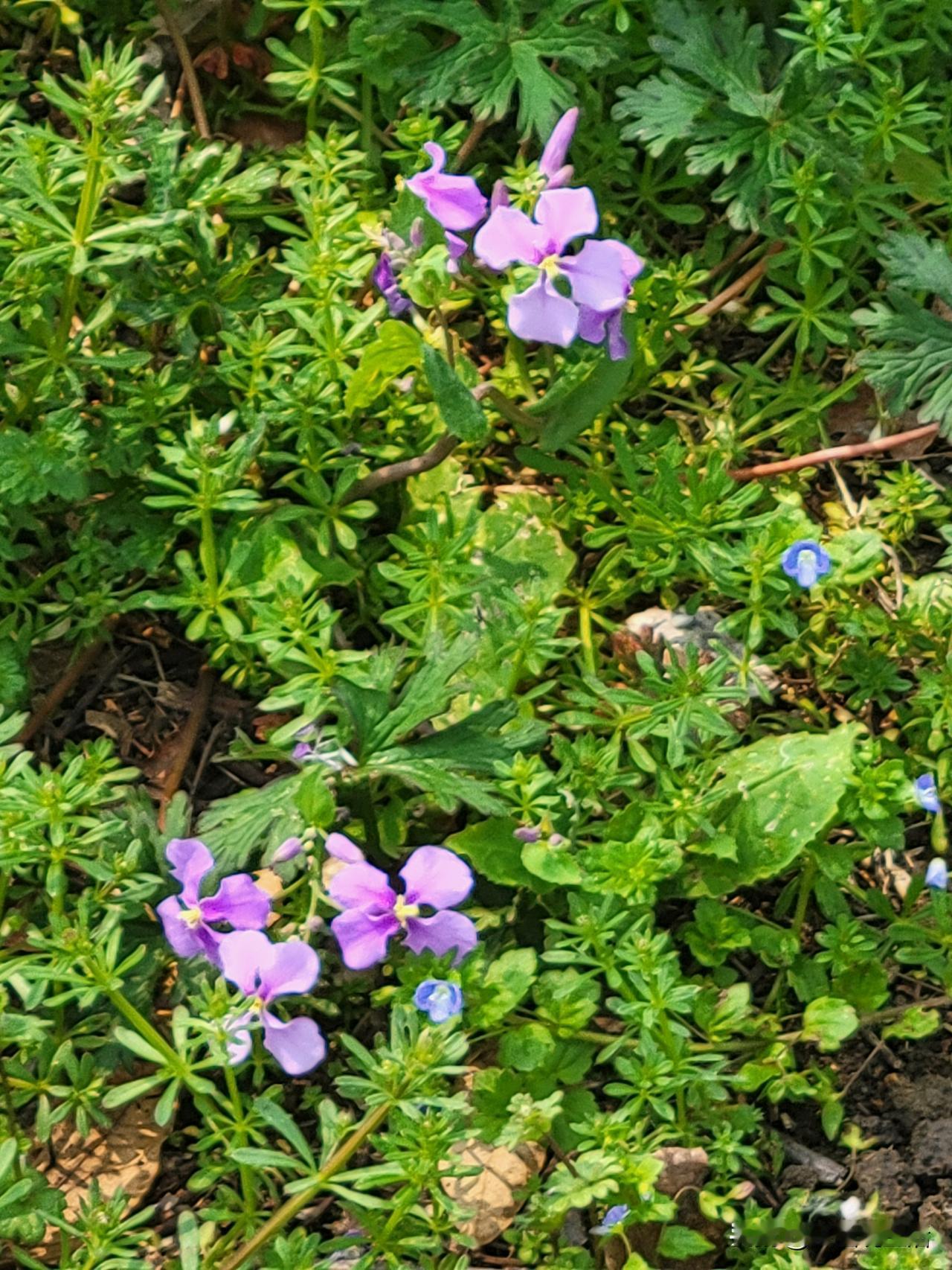 挣到钱的人就很有能力吗?挣到钱的人就很有能力吗？这还真不好说。挣钱确实是综合