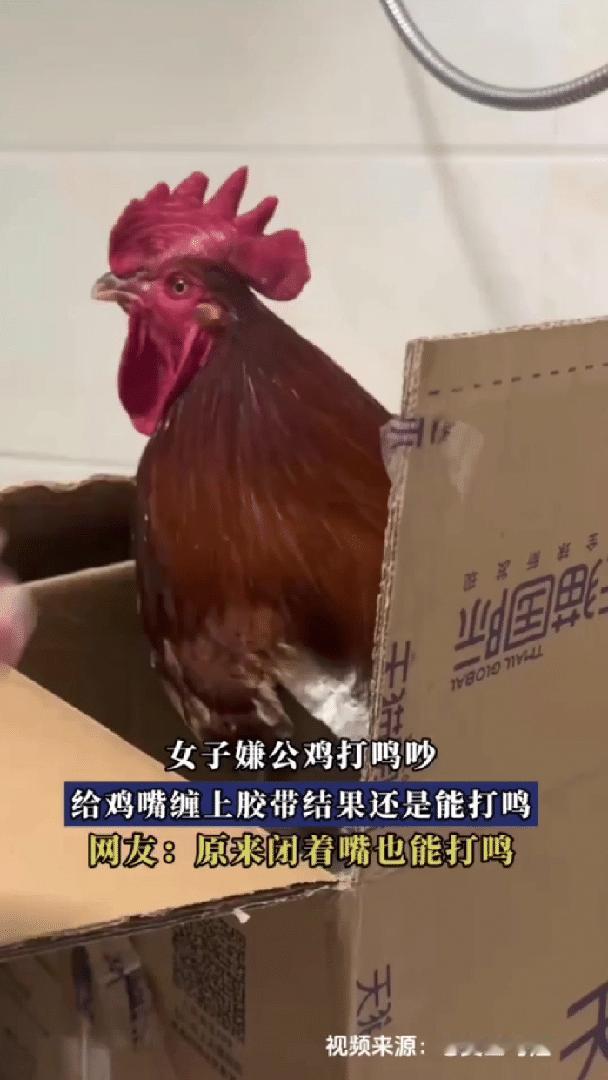 🌙“不可思议！”安徽蚌埠，一场降雪过后，清晨的寒气还裹着积雪的冰冷，巡防民警像