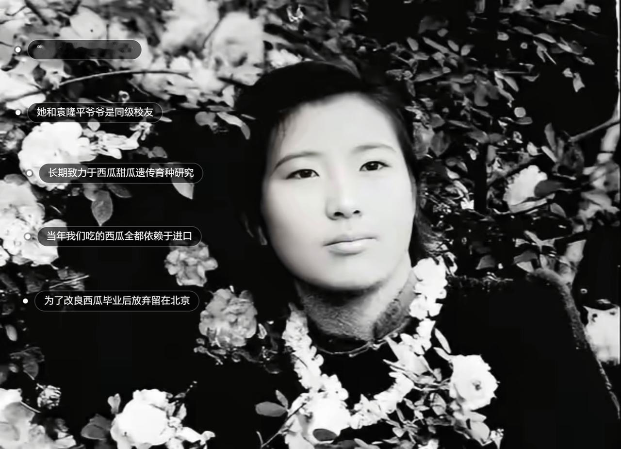 1955年，武汉女大学生吴明珠，放弃了城里的工作，趁父母不注意，连夜逃往新疆，父