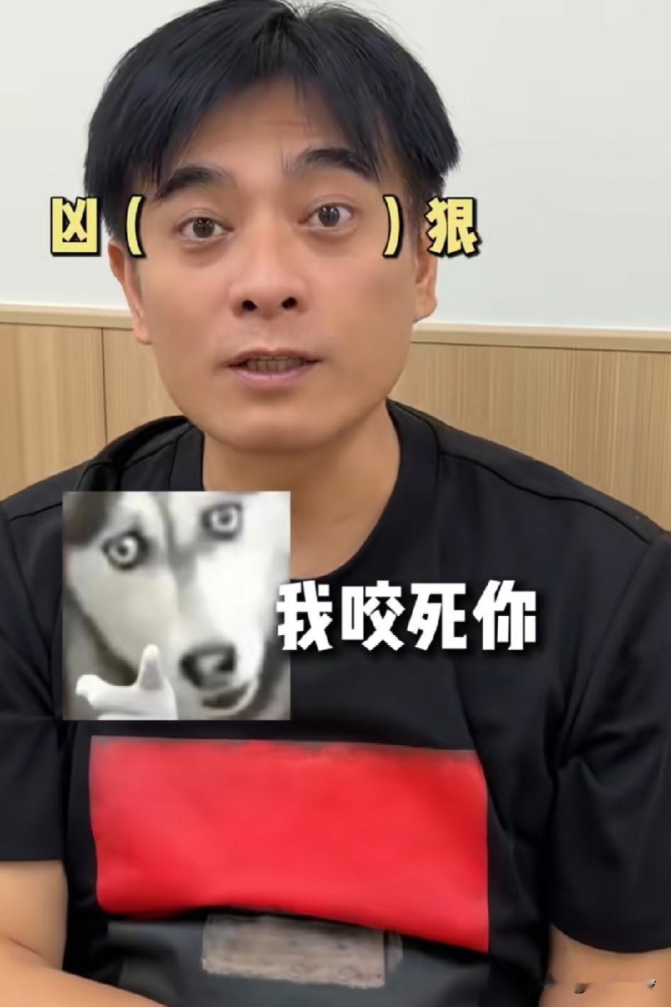 陈龙去医院检查甲亢了，如果检查出来没有甲亢，要咬死马伊琍！！“我不是要检查我