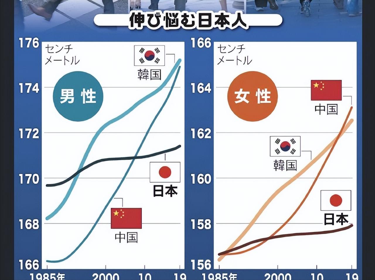 最近日本网上有一张图很火——中日韩年轻人的平均身高变化。这张图最容易引起