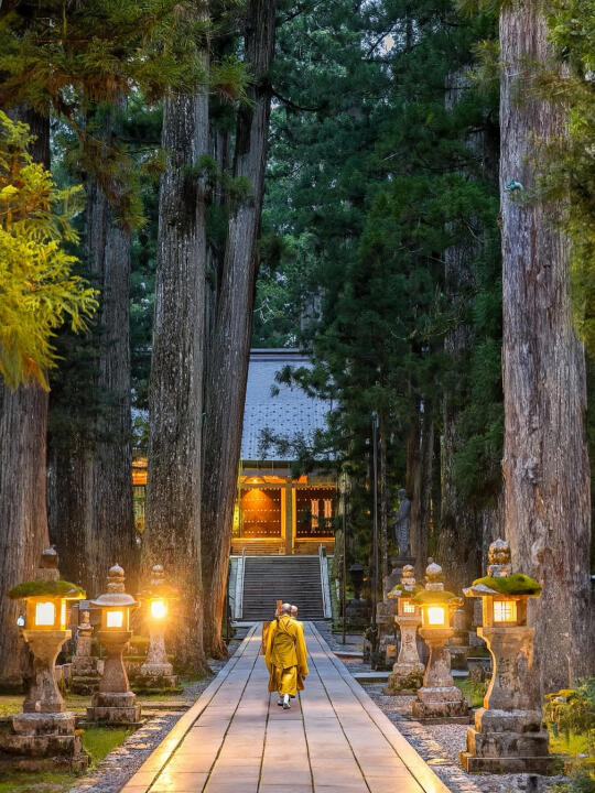 日本关西小众线｜7天报3.2W/人，还让我住寺庙