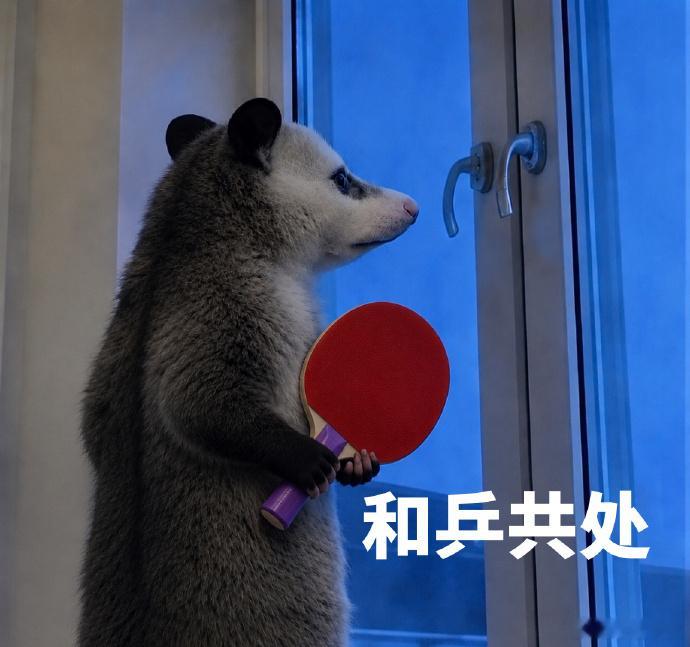 陈梦cos负鼠表情包应援山东乒超救命！梦姐也太会玩梗了吧，这波应援我直接笑到打