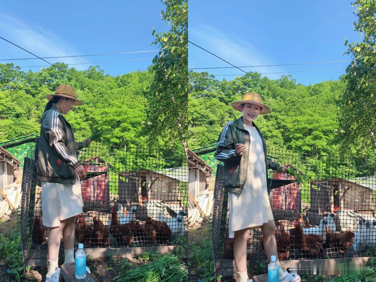 山里养蜂、养鸡又养娃儿，老家的惬意你值得拥有🍀避暑胜地，早晚甚至有点冷🌲
