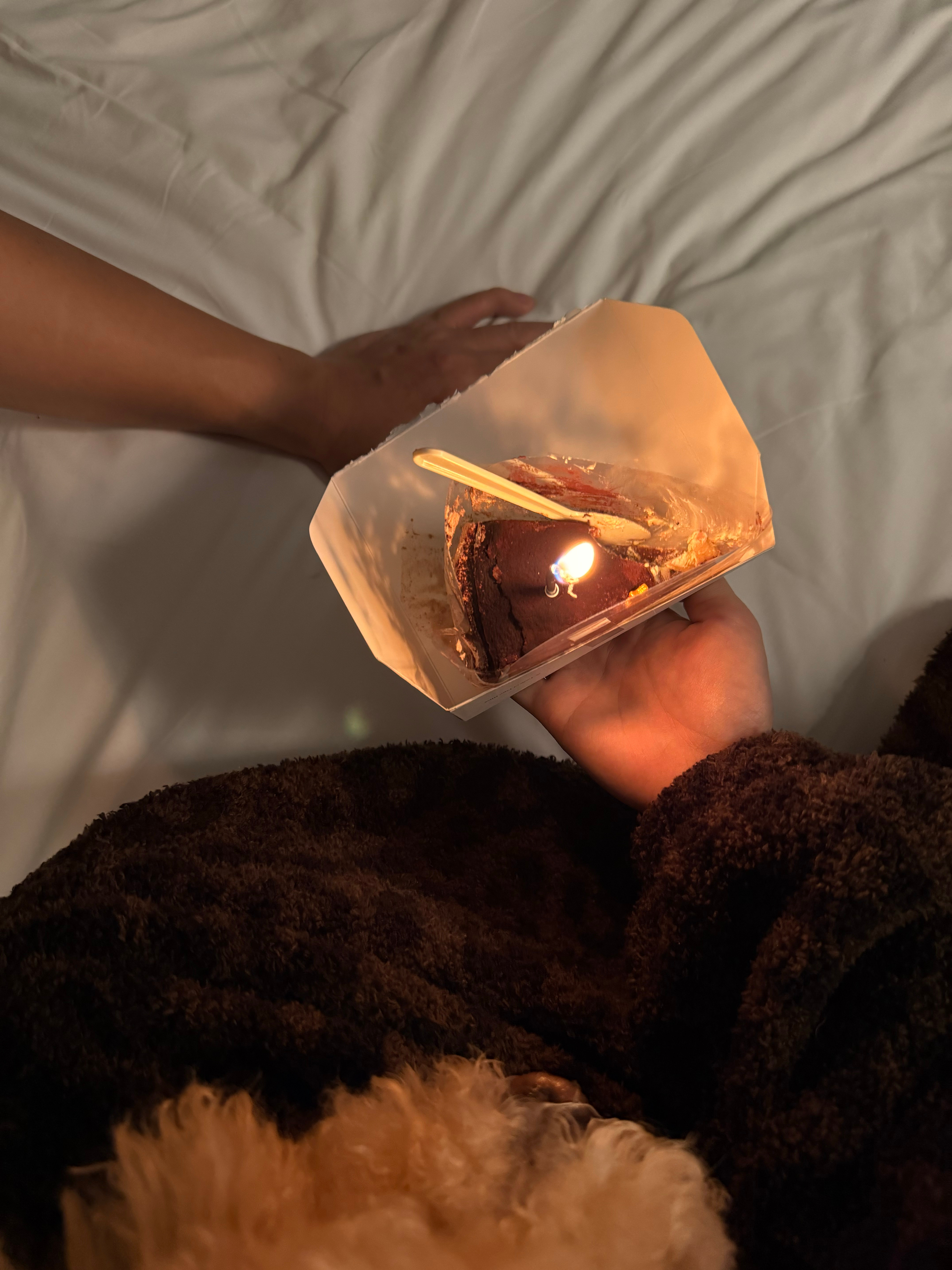 新年快乐！2026还在一起！☺️（猜猜这在哪跨年