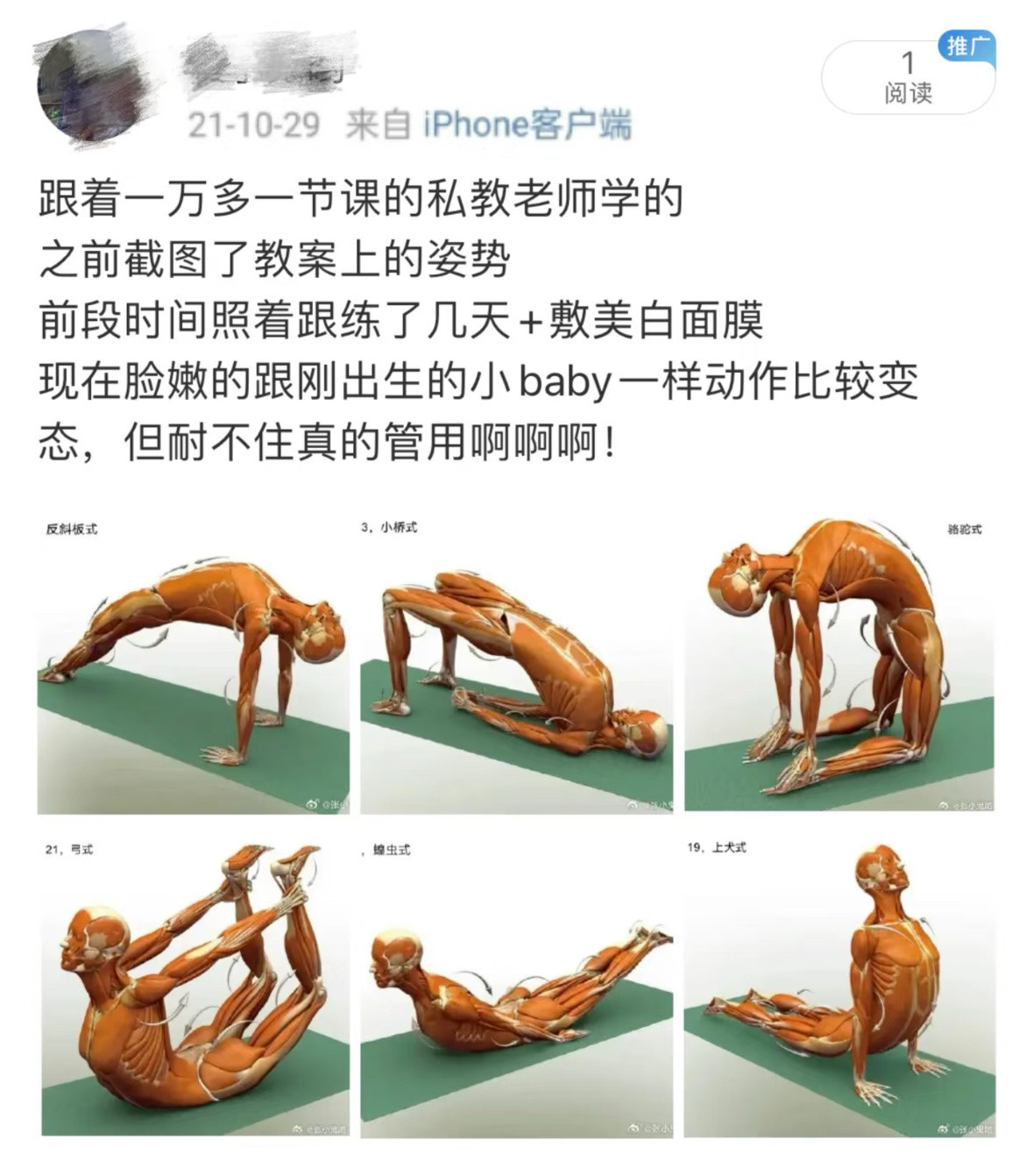 吹爆以前的XHS是真能学到真东西....