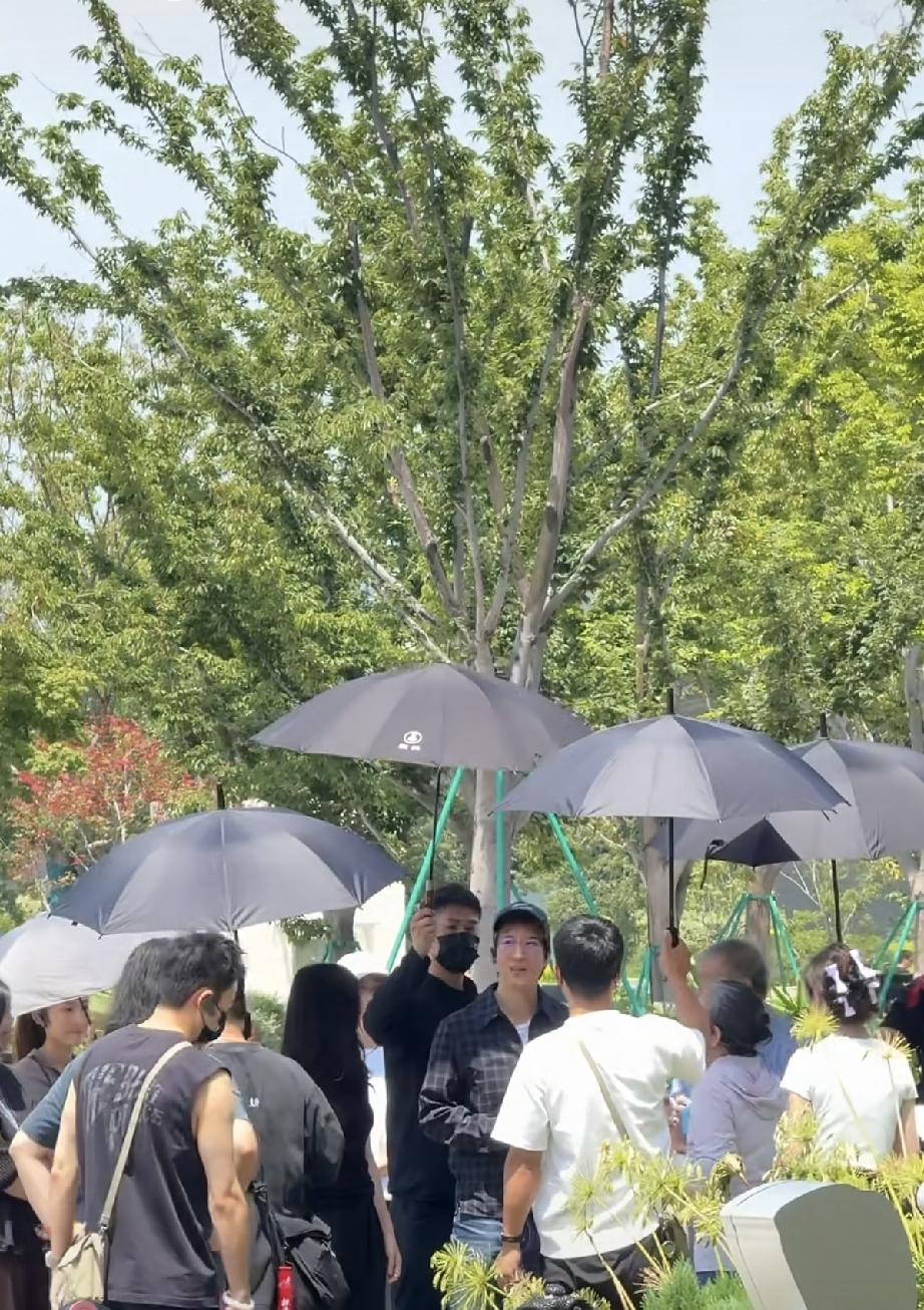 8月17日，王力宏带父母一起逛苏州美术馆，父母单独打卡快闪店，不被年轻人追捧，身