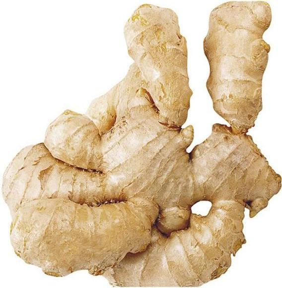 冠状动脉硬化的隐因，张仲景的瓜蒌薤白半夏汤，通阳散结血脉畅如川中医强调"异病