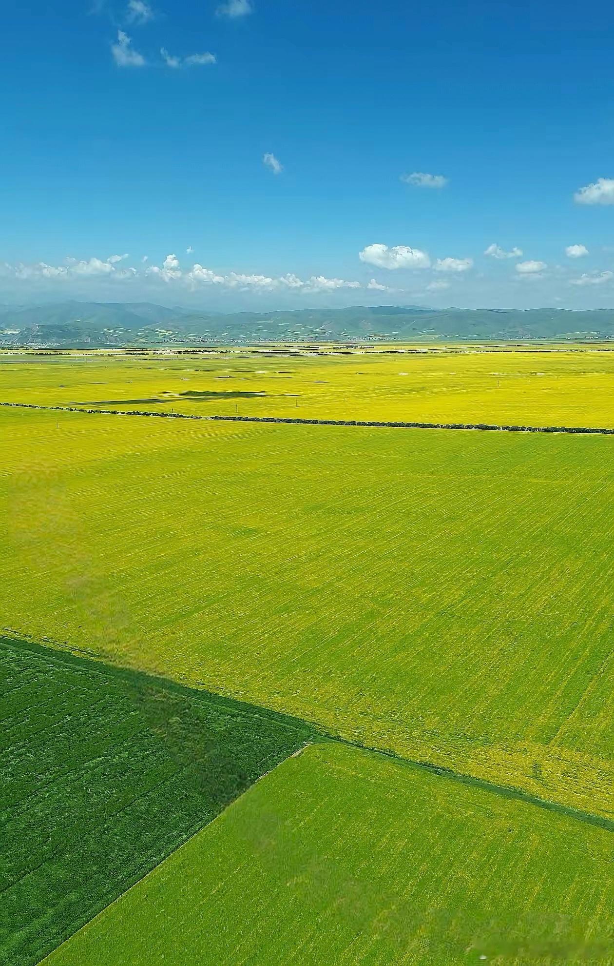 有几种投资方式，你会选择哪种？第一种：全仓持股一只股票3年，收益率50%，但是不