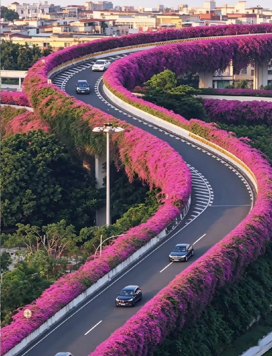 一座城市的独有景致，往往得多花些心思。瞧见配图里广州的这处画面，是不是格外赏心悦