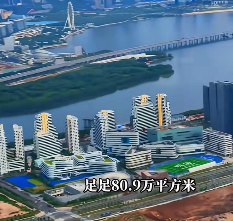 企鹅岛，腾讯新的总部。别误会，可没在南极。在深圳，应该是外形像个企鹅，所以命名企