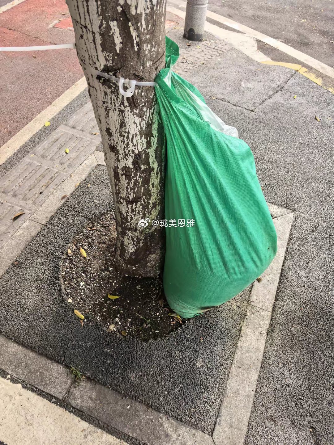 看来重庆是真的热，不骗人哈哈哈