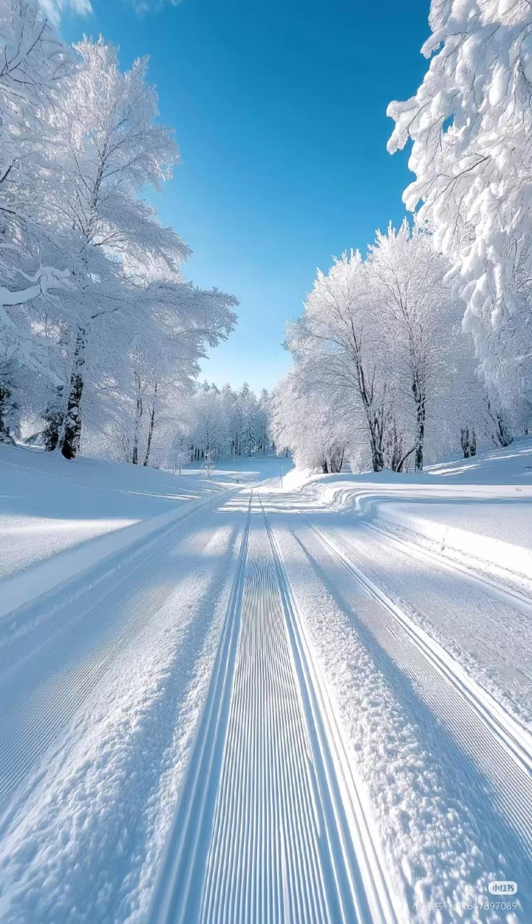 2026年第二场雪火速上线！南方持续偏冷，这波“冻感”根本不是普通寒潮！刚