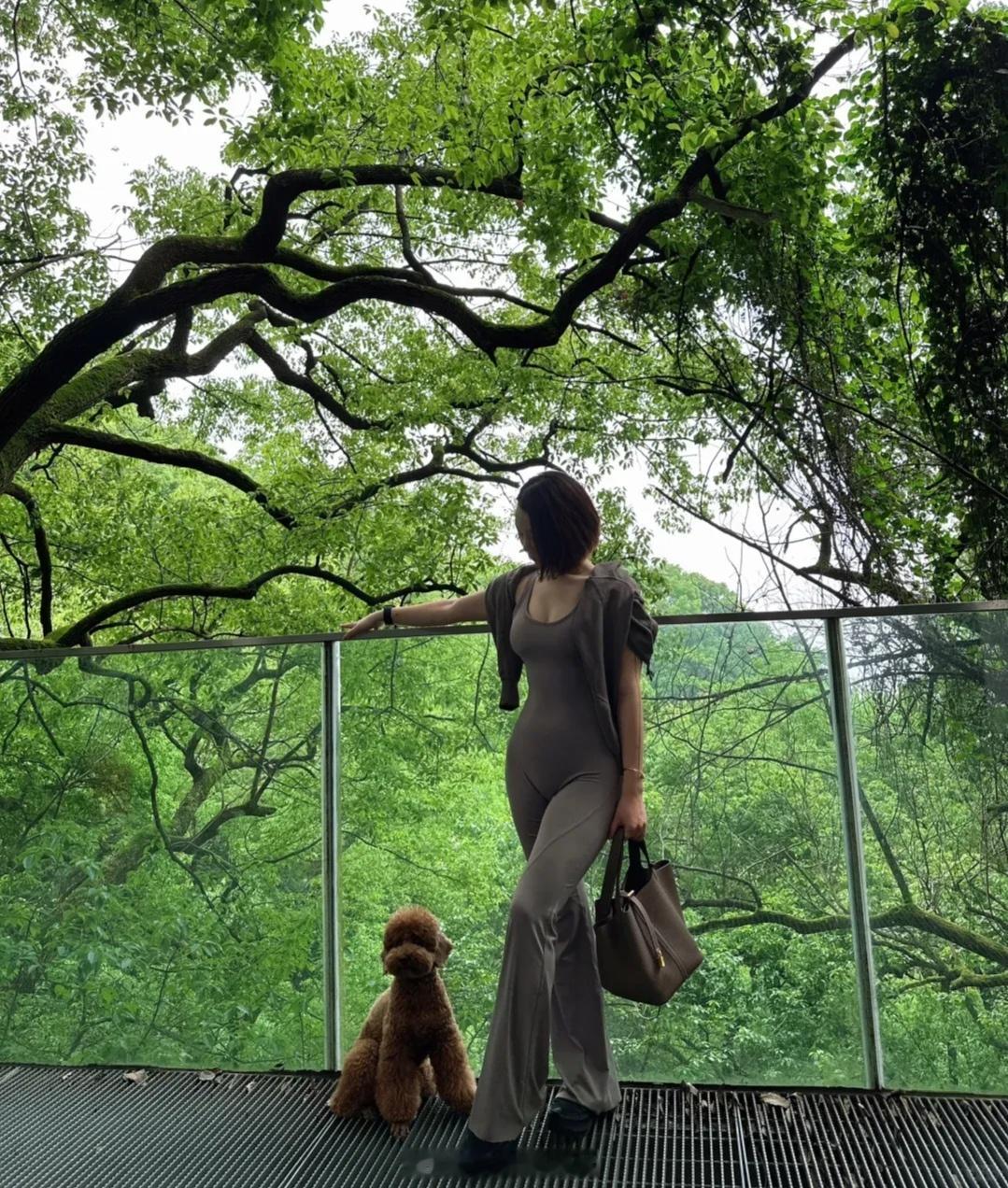 深圳的夏天，新塘坑水库遛狗。深圳·塘坑背水库群碧道