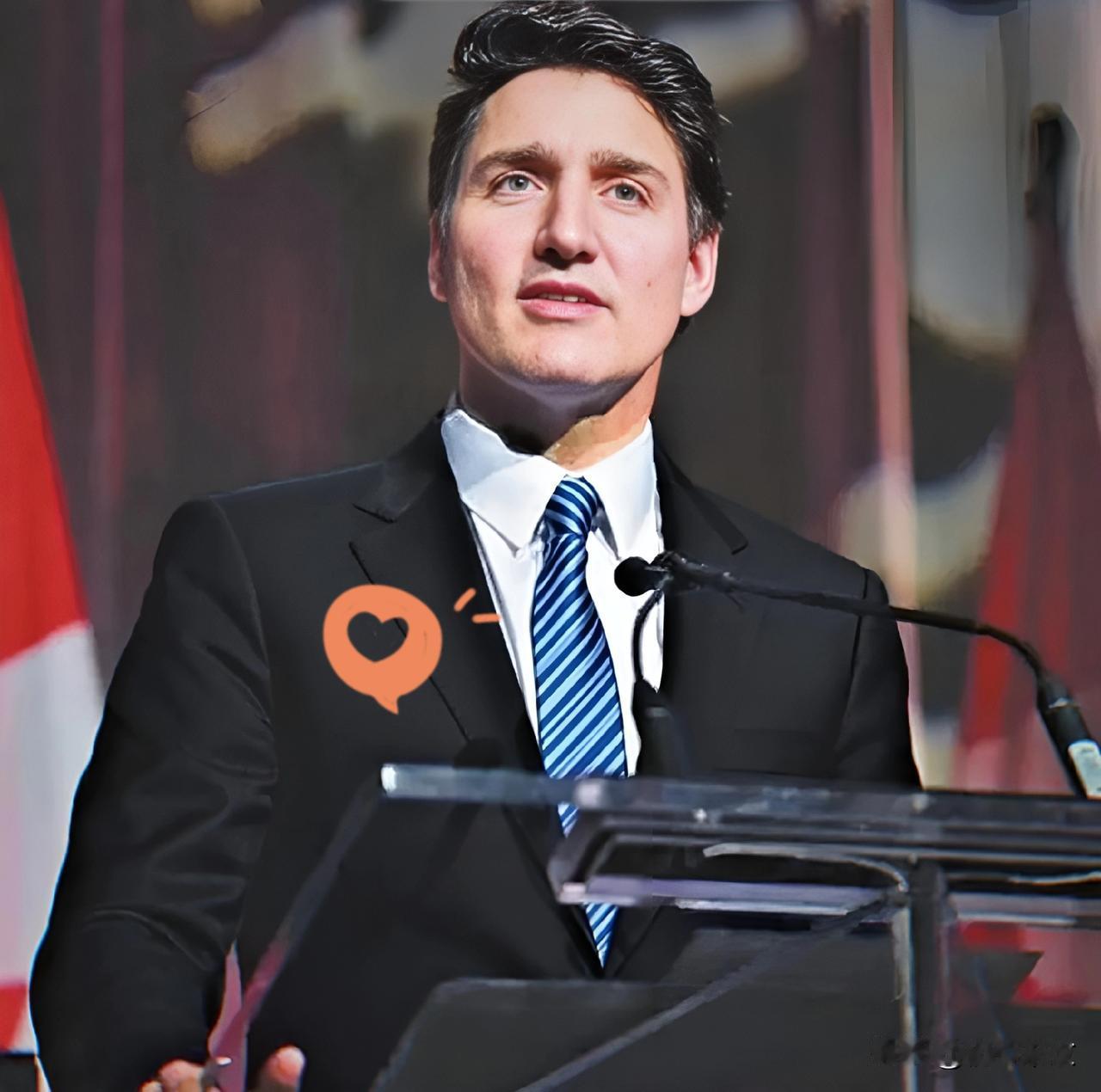 号外，号外加拿大正式宣布了加拿大边境服务署（CBSA）与加拿大国际贸易法庭